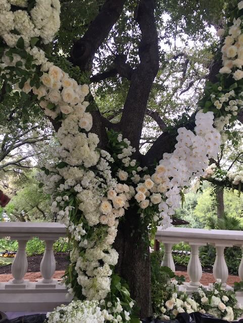 Tree Decorated With Flowers
